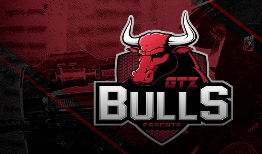 Imagem de Equipa de CS:GO da GTZ Bulls de saída da organização