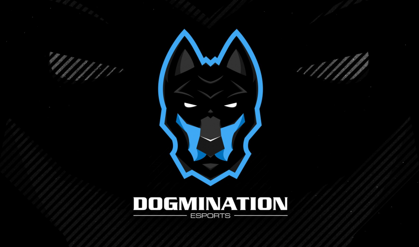 Dogmination adiciona Envy