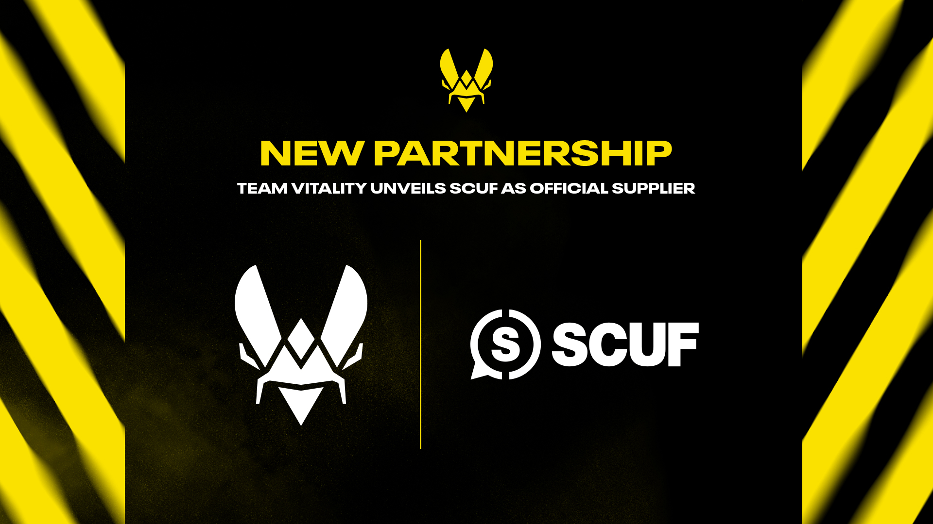 Team Vitality. Эмблема Vitality. Team Vitality форма.