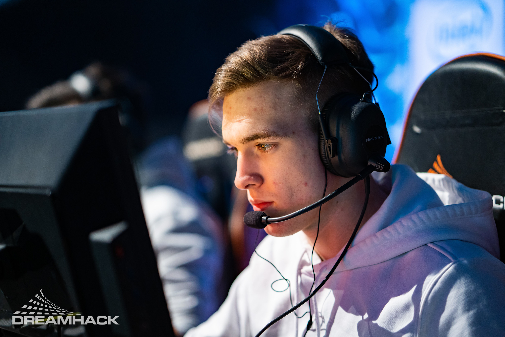 Wolfy Cod WolfY abandona M80 e adensa rumores sobre aposta em slaxz-