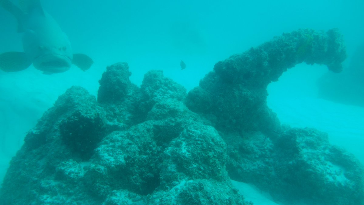 nautilus riot games League of Legends