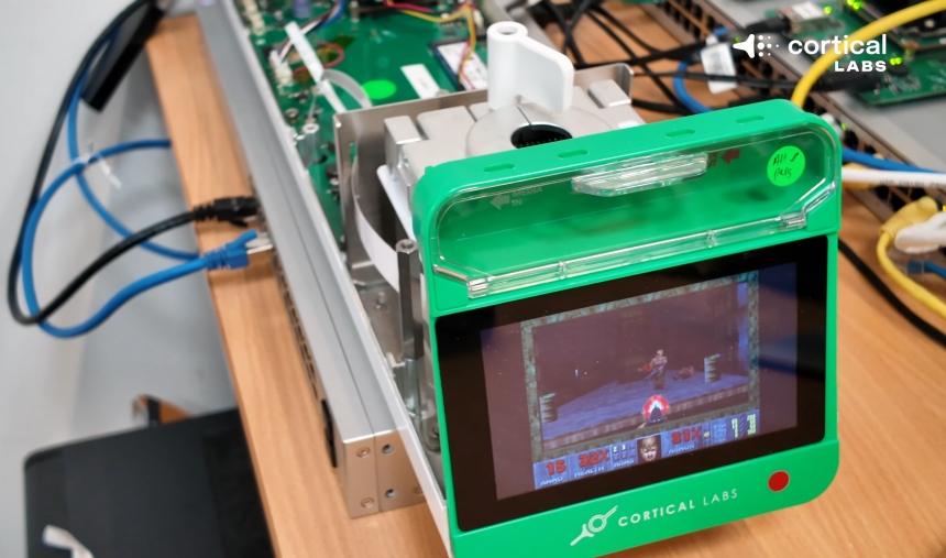 doom computador biológico cortical labs